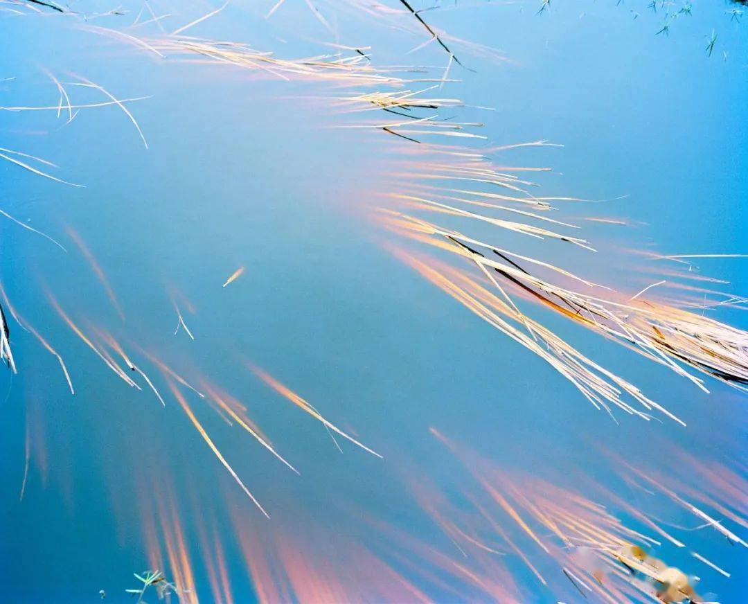 假展览vasanthayogananthan呼啸的风