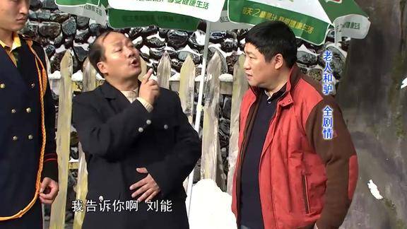 刘大脑袋找谢广坤合作谢广坤只有一个要求叫我的驴大爷