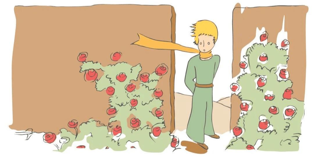 小王子在他的小行星上拥有一朵玫瑰花,她独一无二,和其他所有的小花都