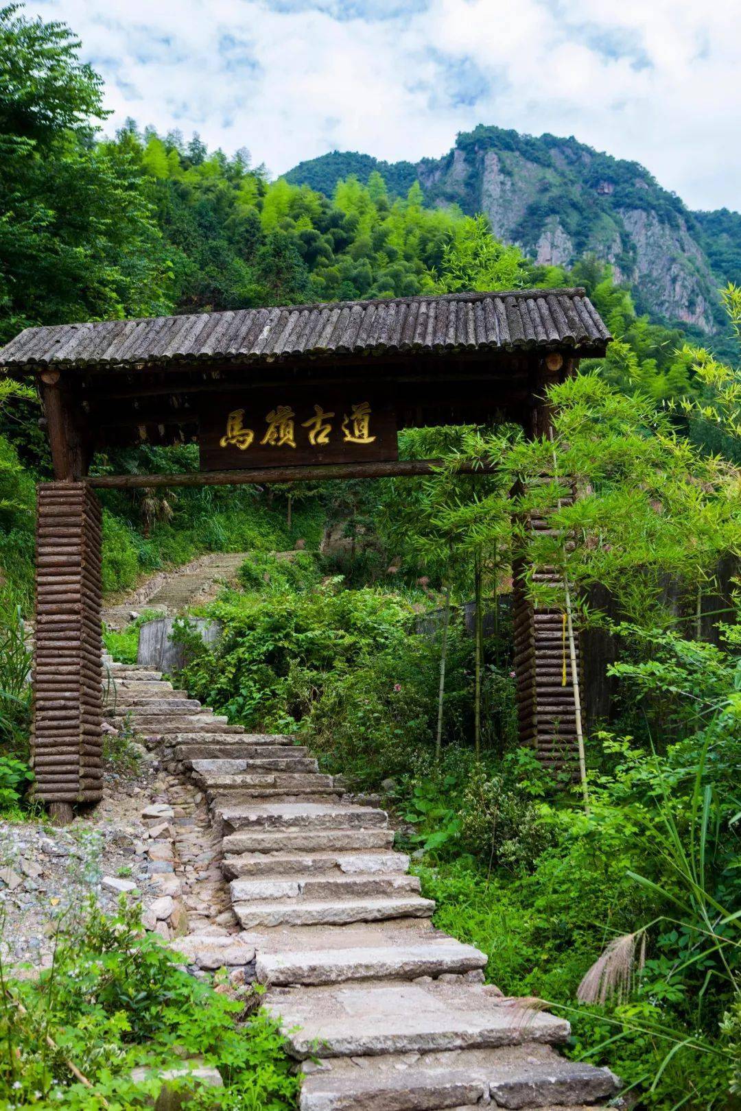 美上心头浙江11条高颜值古道找个好天气徒步去