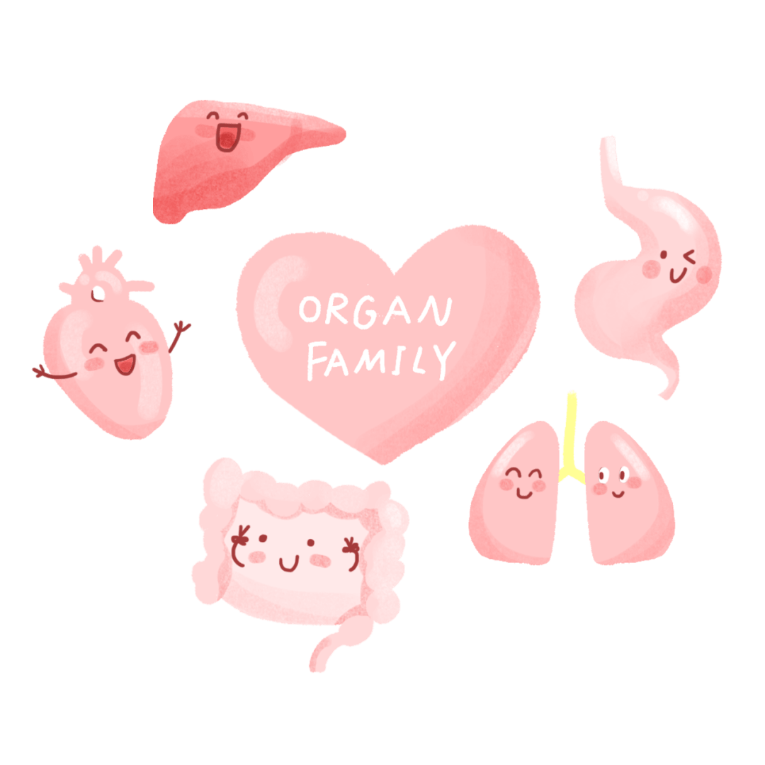 你知道养五脏的三戒四勤五味养生法吗