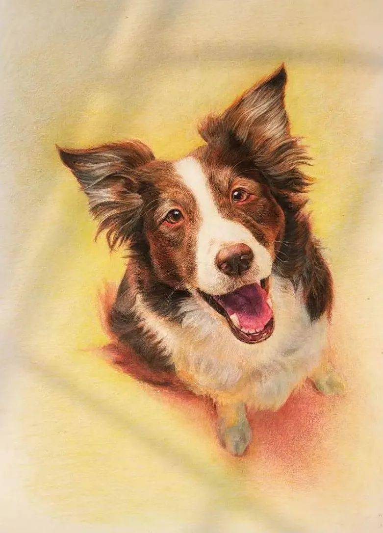 超萌的彩铅小动物,教你画萌出血的小猫咪