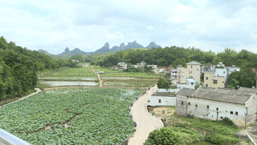 博罗县石湾镇铁场村图片