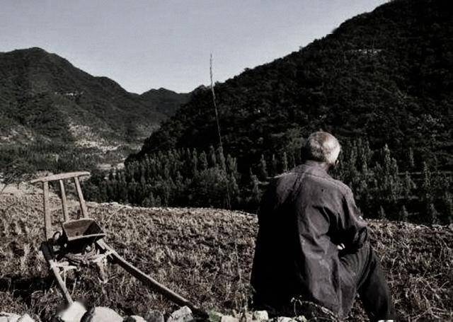 乡土散文父亲抱守着残留和颤抖的身躯垂垂老去