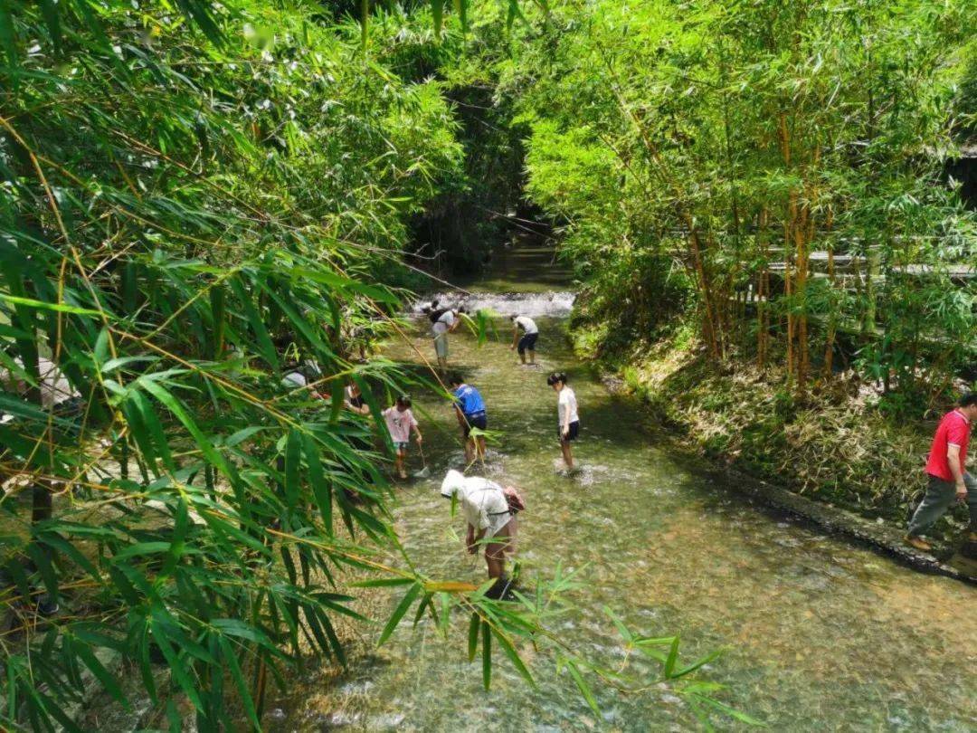 快看!中山最适合带孩子玩水的地方都在这