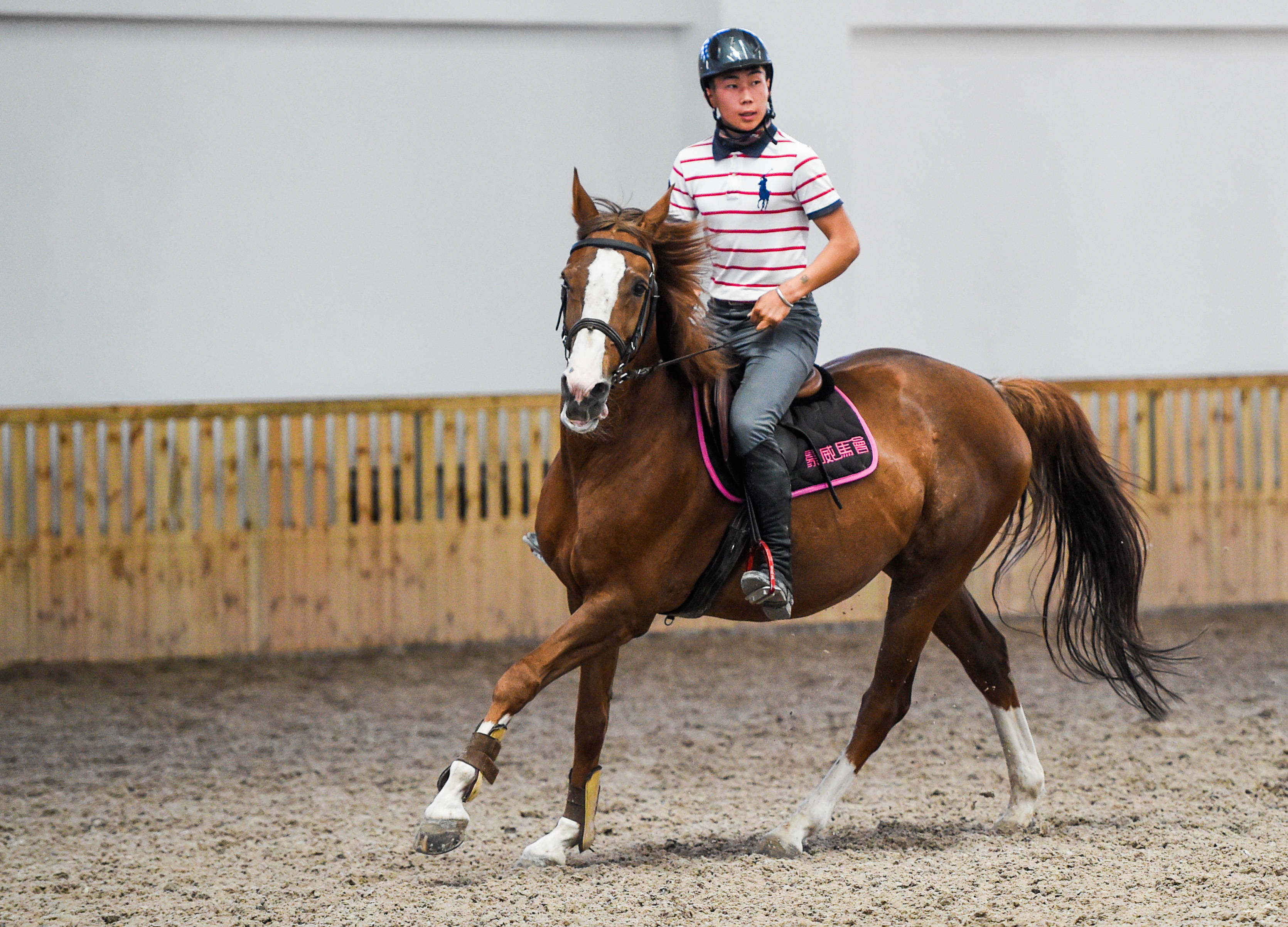 马术——内蒙古马术队训练备战