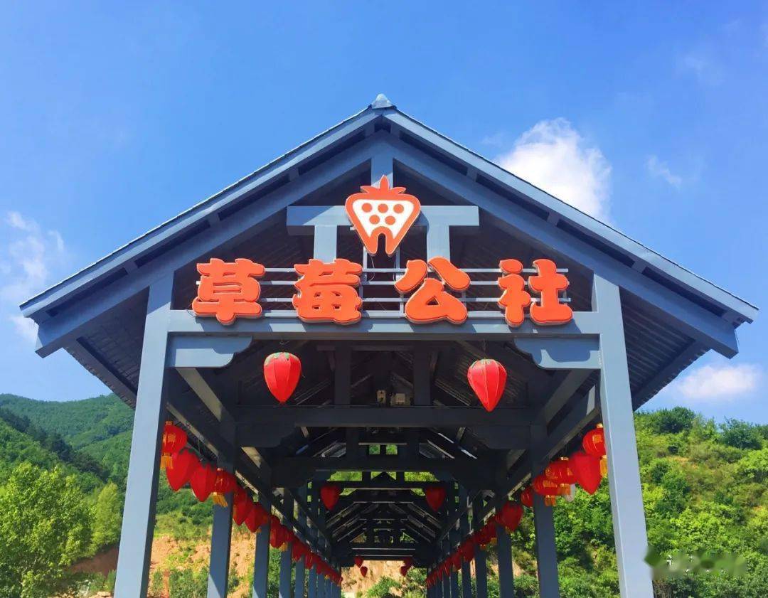 草莓公社草莓小镇到中国草莓谷看小草莓如何玩转大产业读道乡村振兴