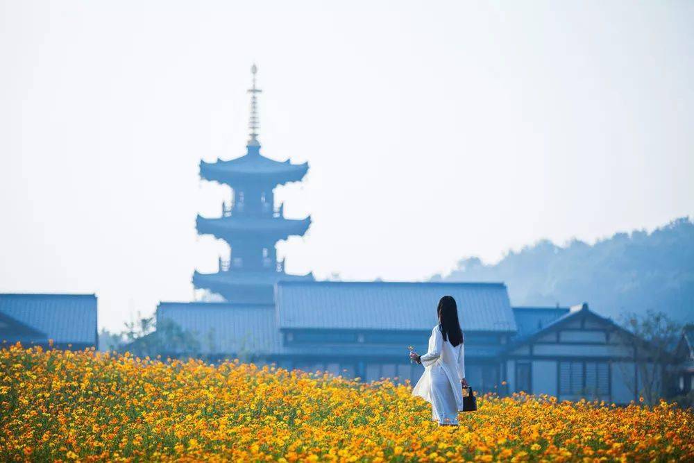 限時特惠丨在靈山禪韻裡,梵宮尋