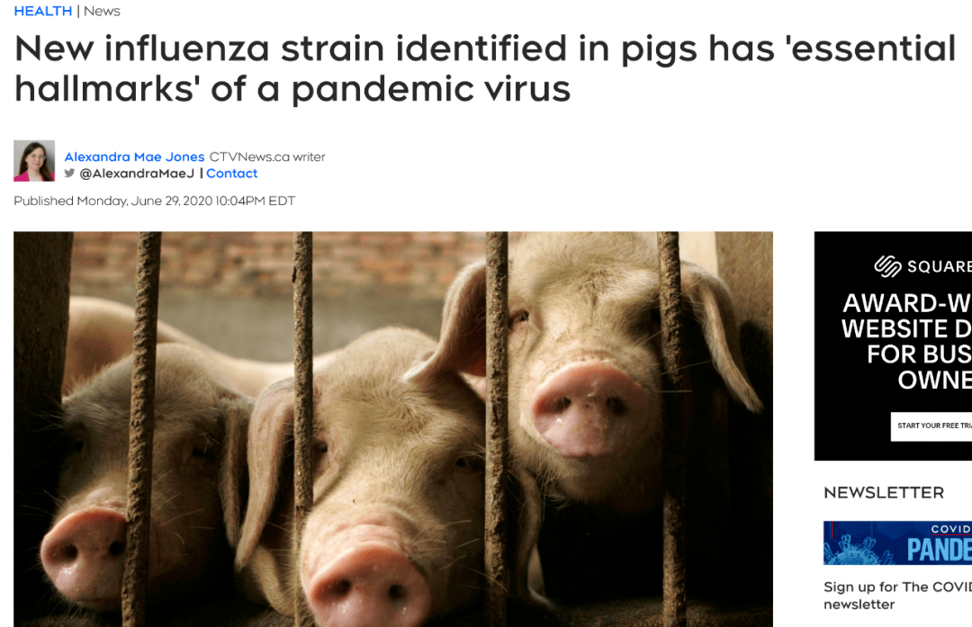 突发渥太华取消多条航线多伦多强制室内戴口罩出现大流行潜力新病毒