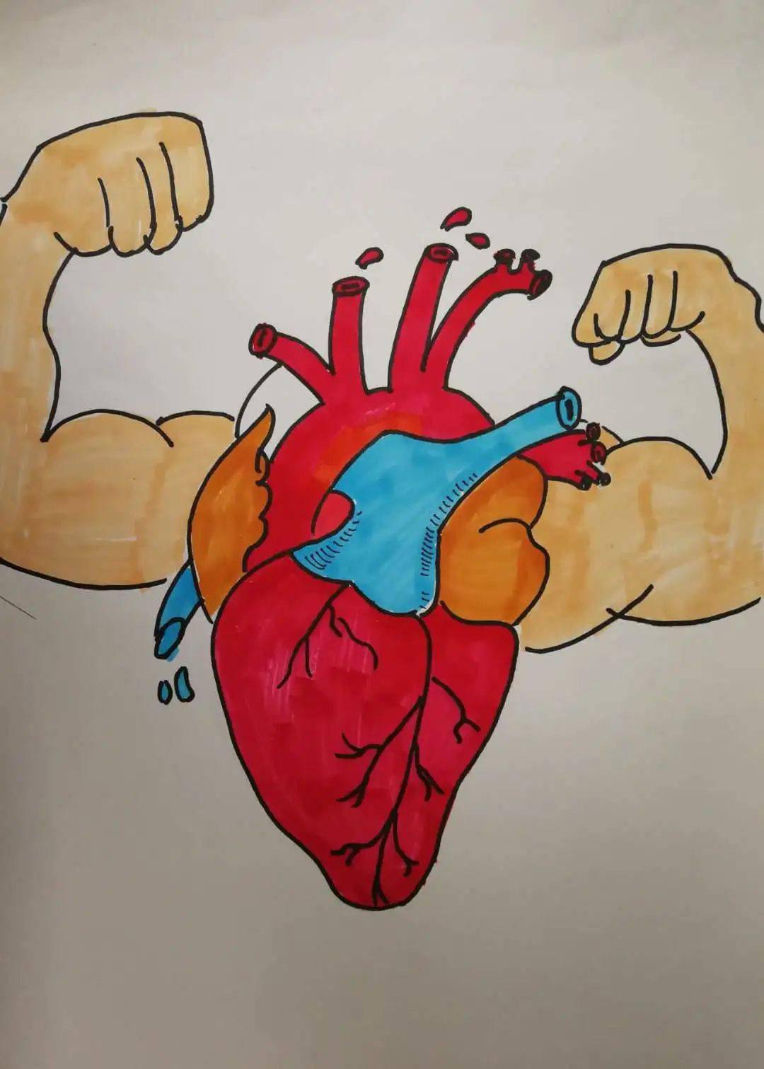 围观美小护笔下的解剖图被学医耽误的灵魂画手