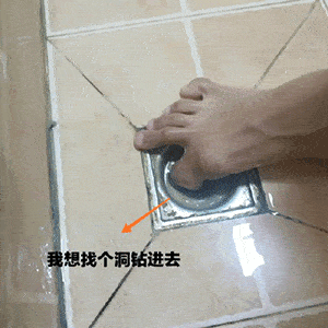 300_300gif 动态图 动图