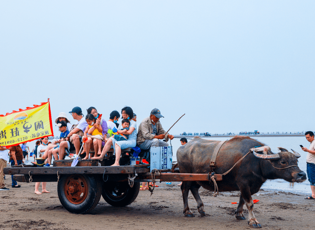 激情夏日黄金海滩水上乐园7月清凉开启和你一起放肆嗨