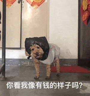 沙雕表情包大全偷心盗贼不请自来