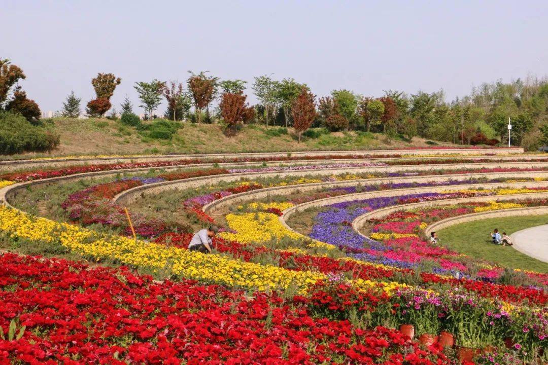 这里更加开阔自由这里是以半圆形围合而成的下沉广场往南走,是台地