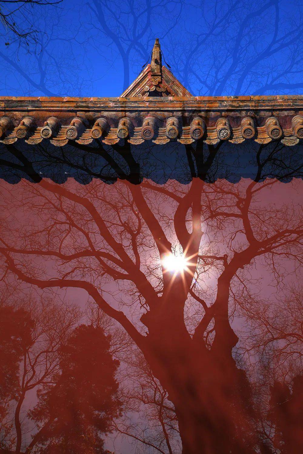 晓辉视觉 61 创意摄影多重曝光网络全科研修班(7月开学)