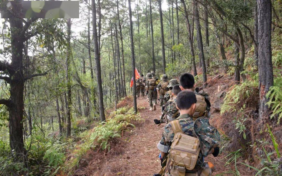 合川小學放假了,快來參加軍事夏令營,野外拉練,大型武器參觀,真人cs