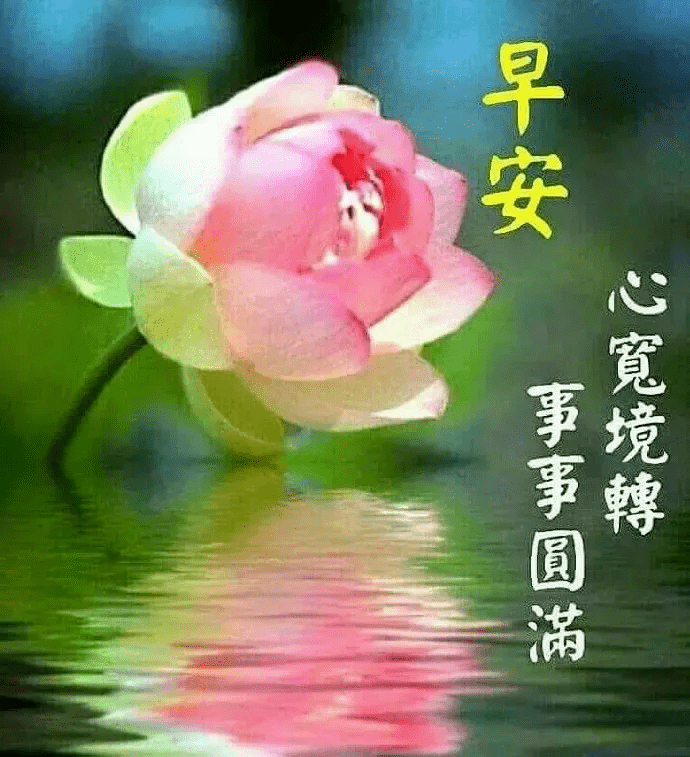 最新清晨早上好问候语动态图片大全微信朋友圈早晨好问候祝福语句子