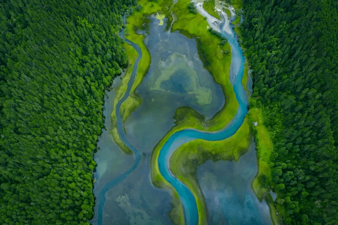 多彩西藏|最美限定绿_绿色