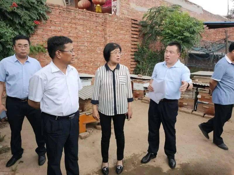 张新立督导检查农村垃圾污水整治及改厕工作