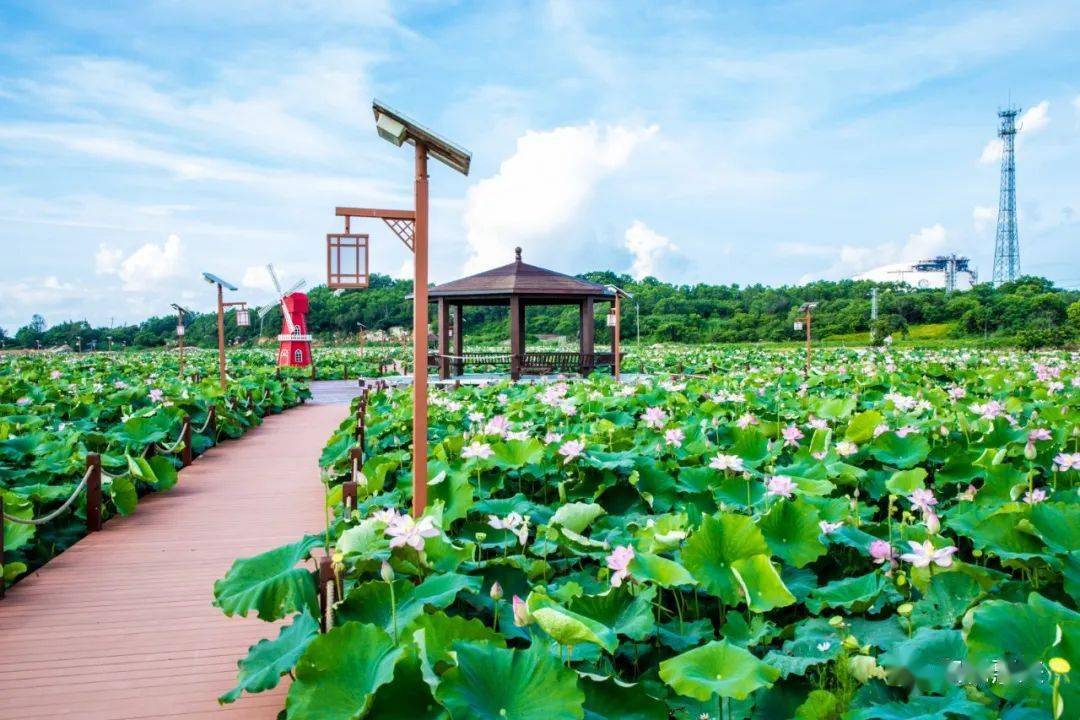 惠来沟疏湿地公园图片