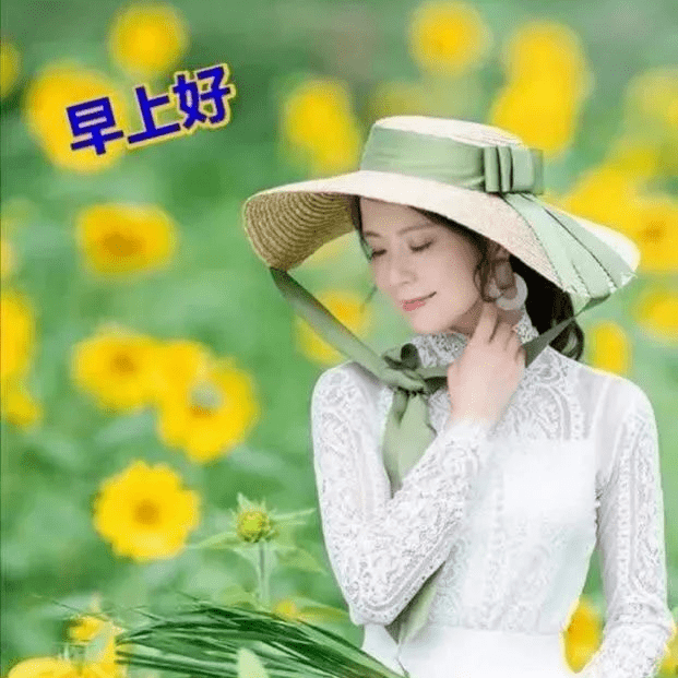 早上好阳光问候语表情包图片精选,微信非常精美的早晨好温暖祝福表情