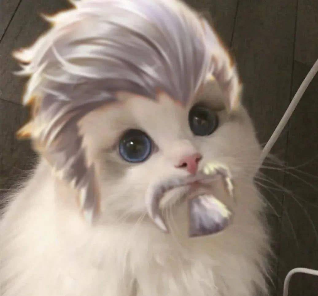 最近很火的王者荣耀猫头表情包大家看看哦