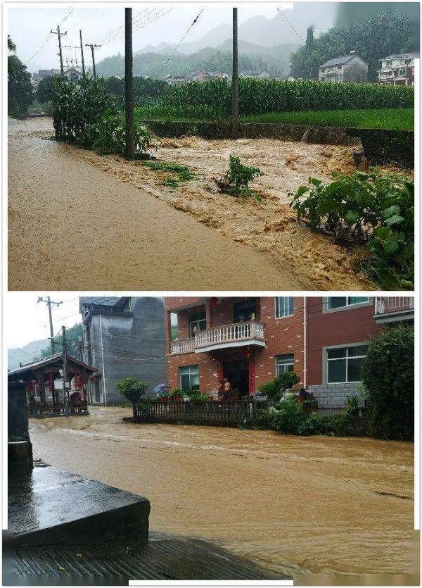 抗洪救灾先进事迹①坝头村党支部书记毛泽文冲在一线转移受灾群众