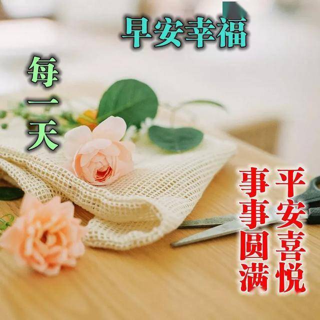 早上好,夏季早安祝福語鮮花圖片大全,唯美早晨問候表情