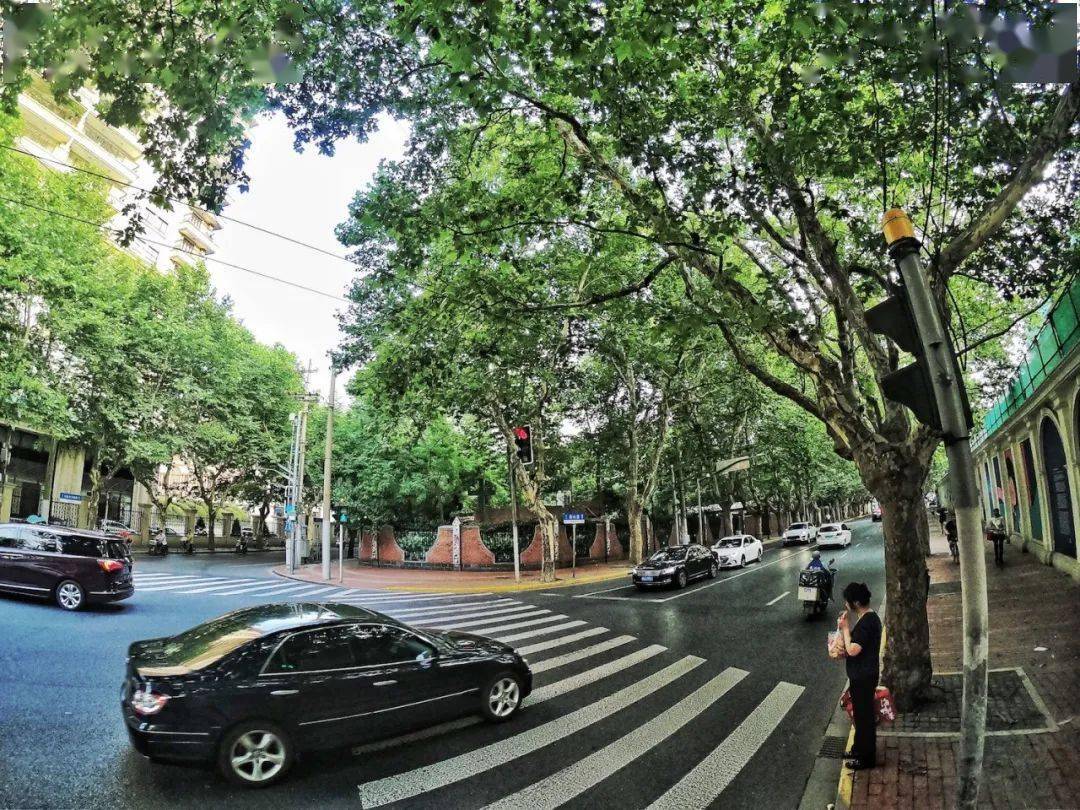 文青们夏日里荡荡这5条徐汇超美的小马路