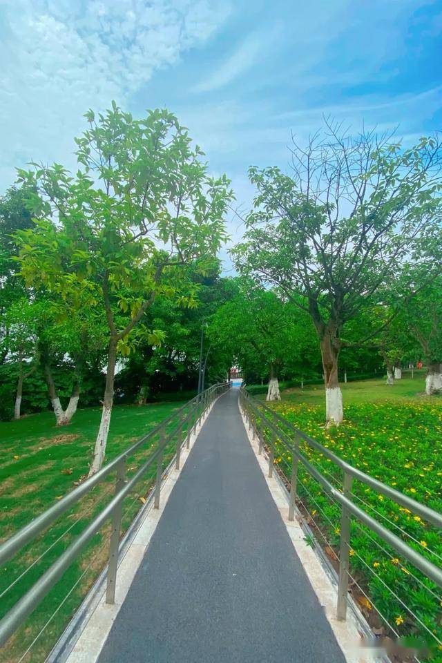眼前一亮南滨公园大变样成万州新晋打卡地