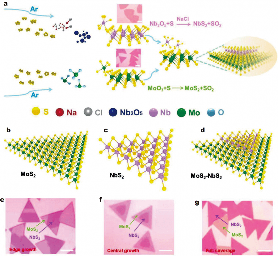 scms外延生长金属半导体异质结用于增强晶体管和光电探测器性能