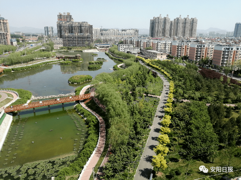 林州林虑河填河图片