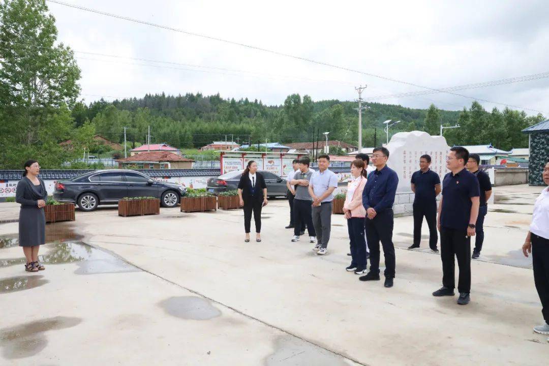 要闻市委副书记唐振生到三合镇白金乡就边境村基层党组织建设工作进行