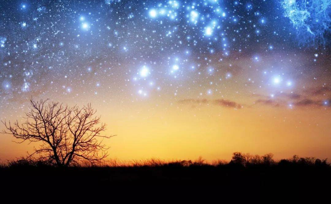 疗愈内在小孩四步走:看到,接纳,宽恕,成为自己!