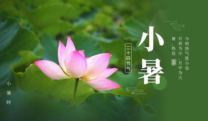 《小暑六月节》【唐】元稹倏忽温风至,因循小暑来.