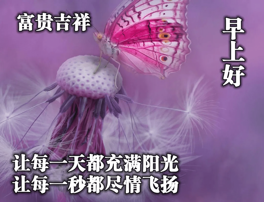 助手群发微信发人可以看到吗_微信群发助手一次可以发多少人_微信群发助手可以发几个人