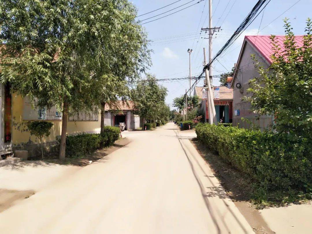 乔官镇人居环境整治系列报道(三十)