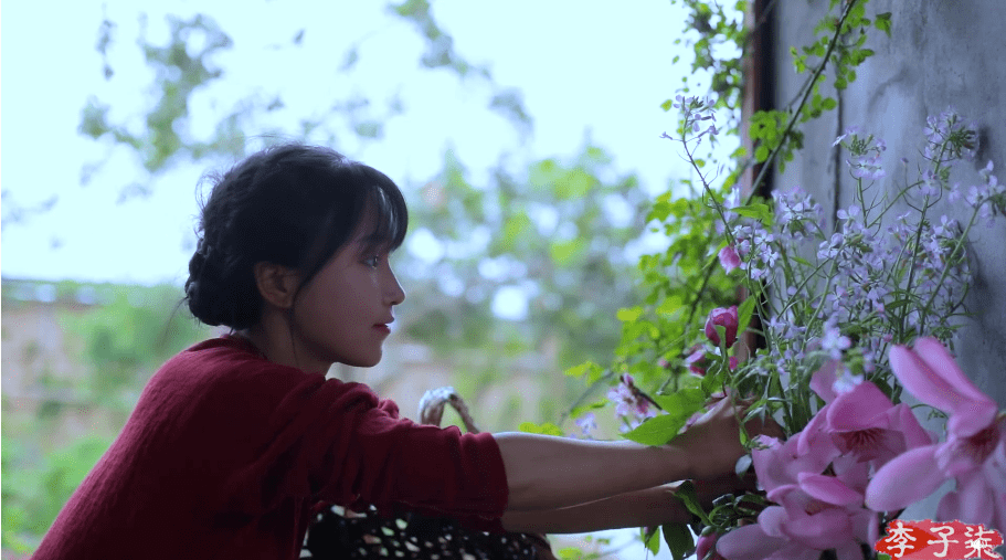 越南李子柒上热搜别怕中国文化是偷不走的