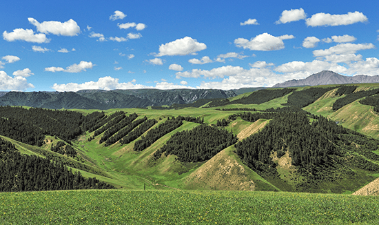 张掖世界地质公园九排松及夷平面.(国家林草局供图)