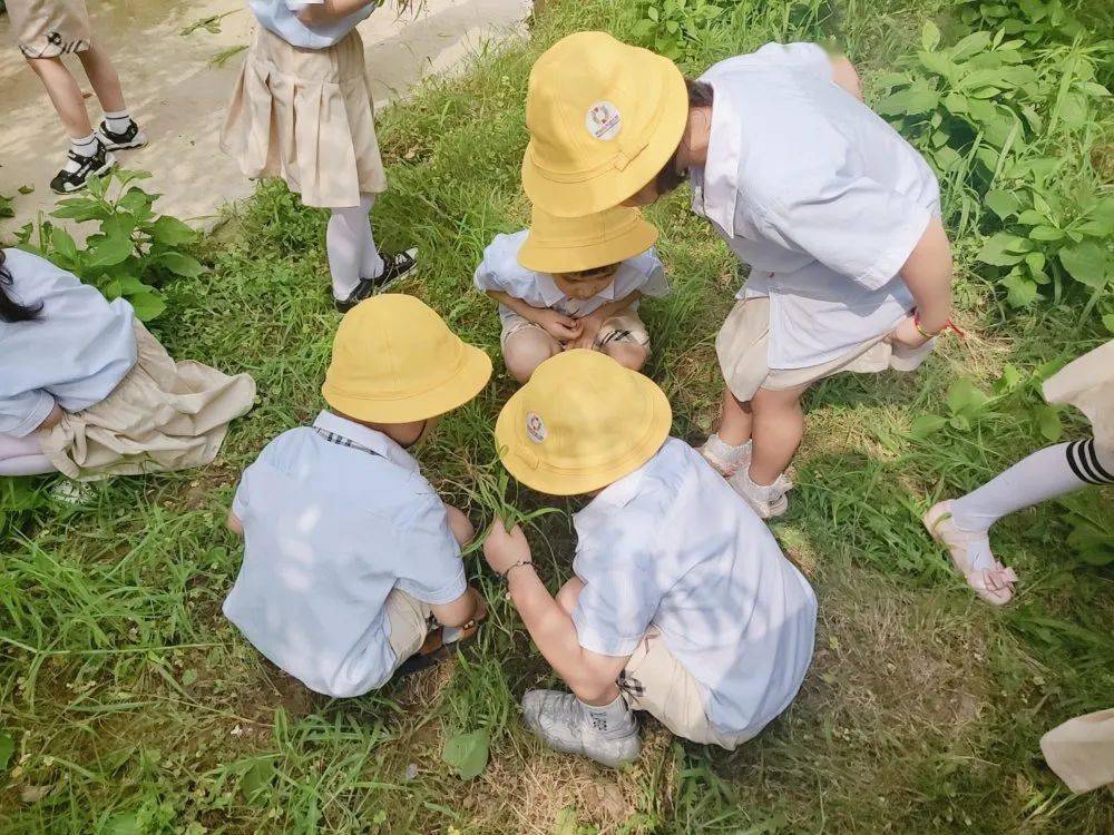 愛讓我們在一起京華合木嘉泰幼兒園歡迎您