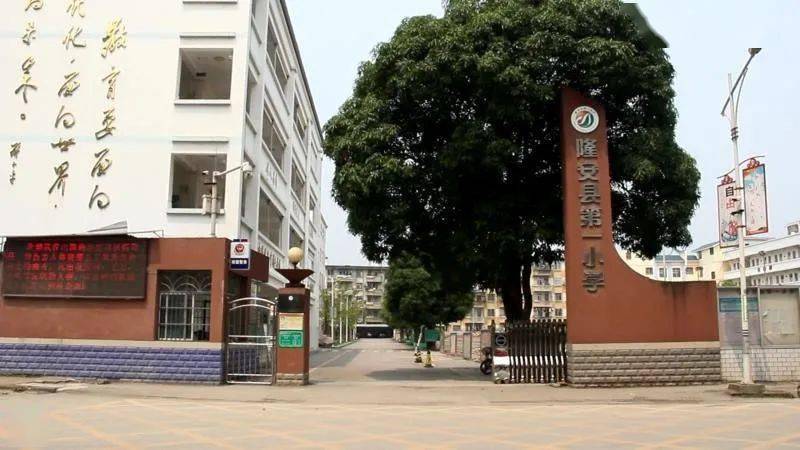 县城各小学隆安县各小学报名现场视频2020年7月8日-15日隆安县内小学