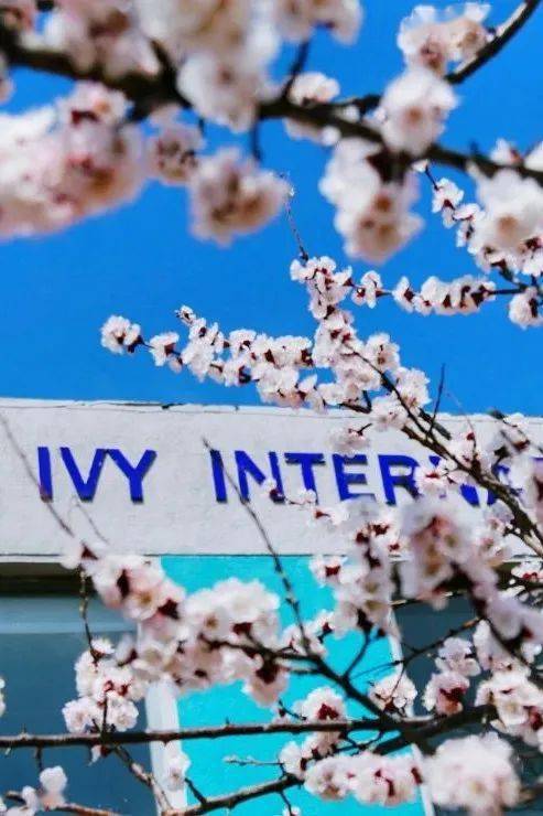 2020常春藤韩国留学直通车助你直升韩国名校