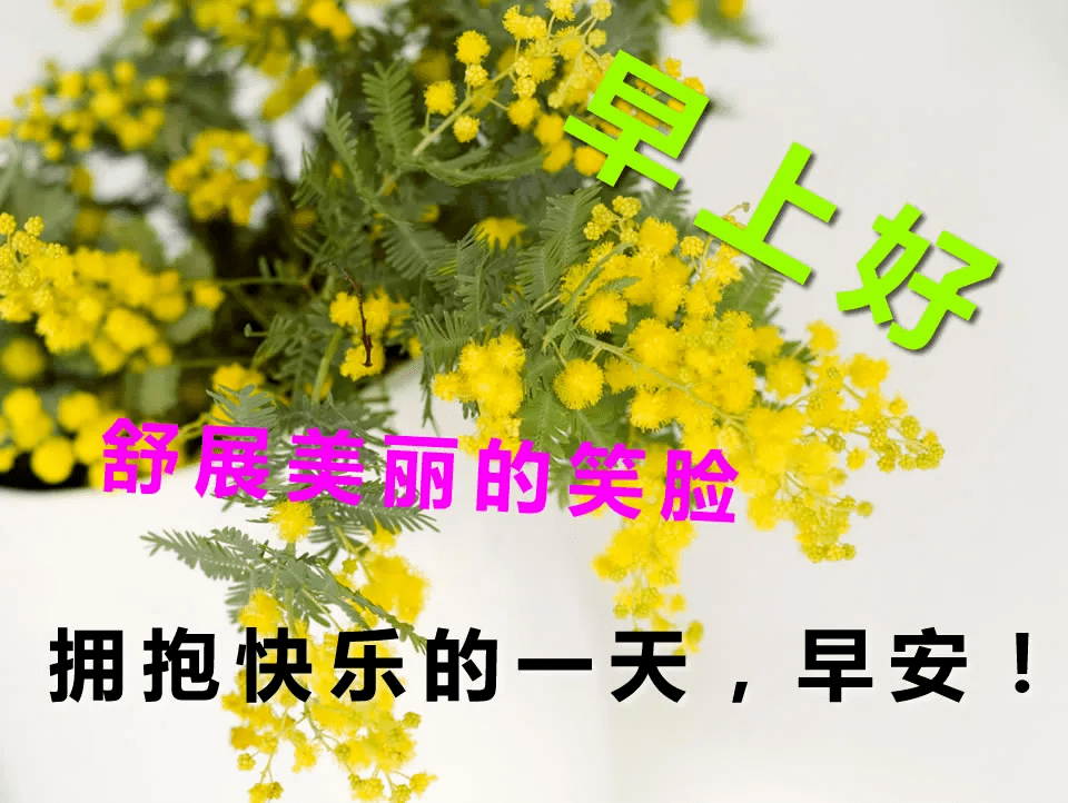 早上好最火的早安暖心問候語特別漂亮的美女圖片帶字