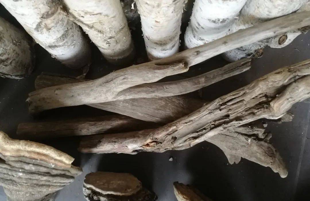 一个是河北滦县三和雨顺李大哥送来的军用水壶,是他四五年前在田地里