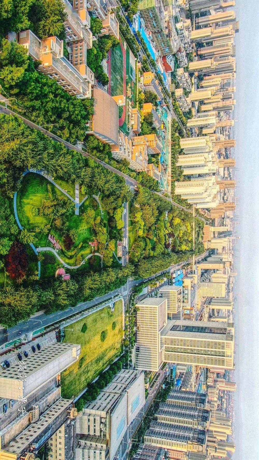 天津泰达城市公园空中视角2020年7月6日紫色浪漫之约又如期而至,由35.