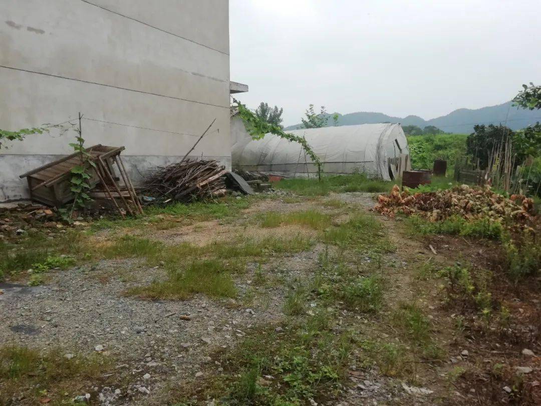 問題330:漢塘村江邊村小組高鐵橋下住戶兩側生活雜物和木材亂堆亂放