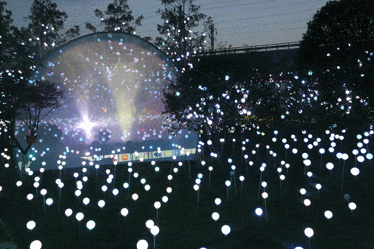 美到炸裂!枫林花海超美光影艺术节又来啦