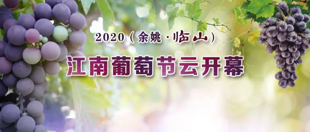 2020余姚临山江南葡萄节云开幕