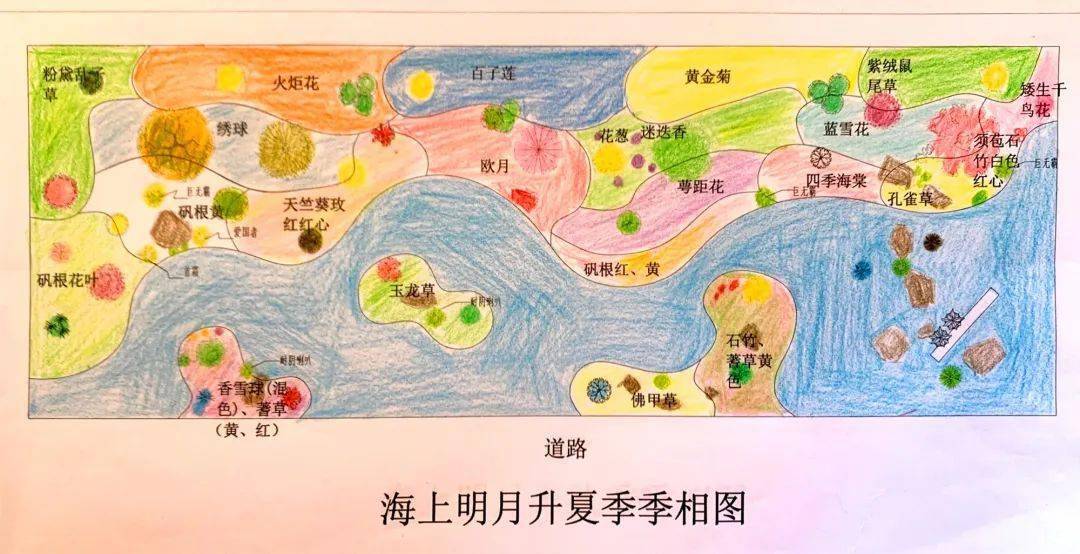 施工建成效果建成后一个月建成后两个月评奖时效果设计单位:荷兰花海