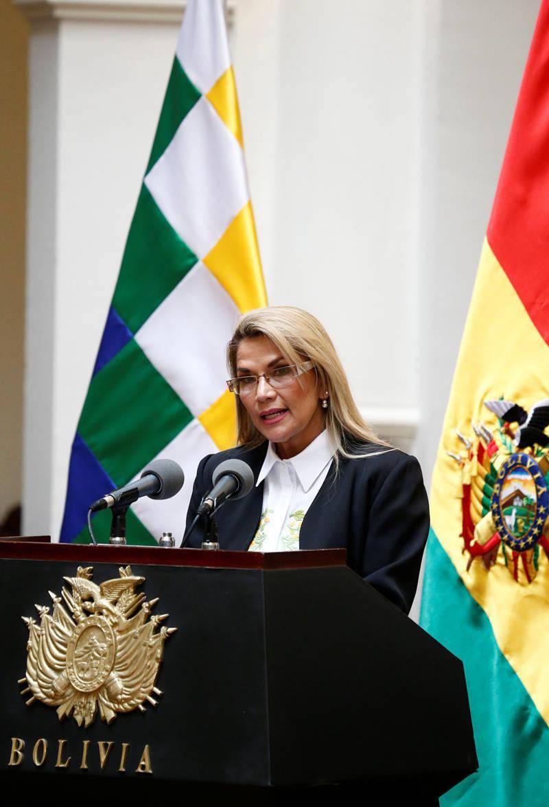 玻利维亚临时总统阿涅斯新冠病毒检测结果呈阳性